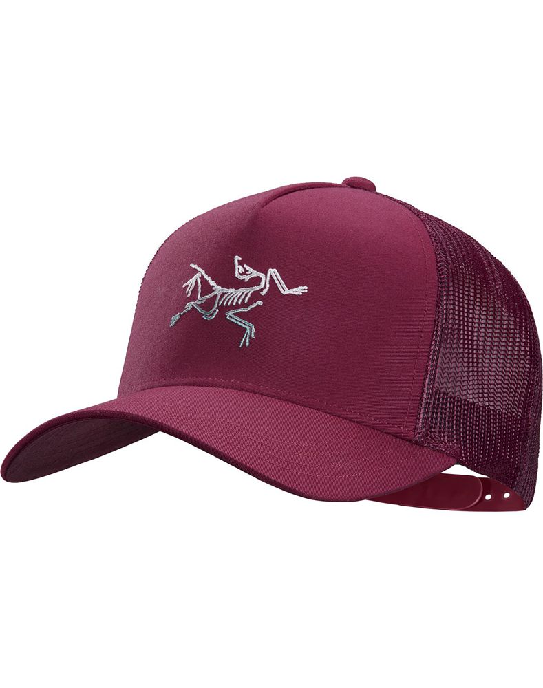 Arc'teryx Polychrome Bird Trucker Hat Mens - Pink