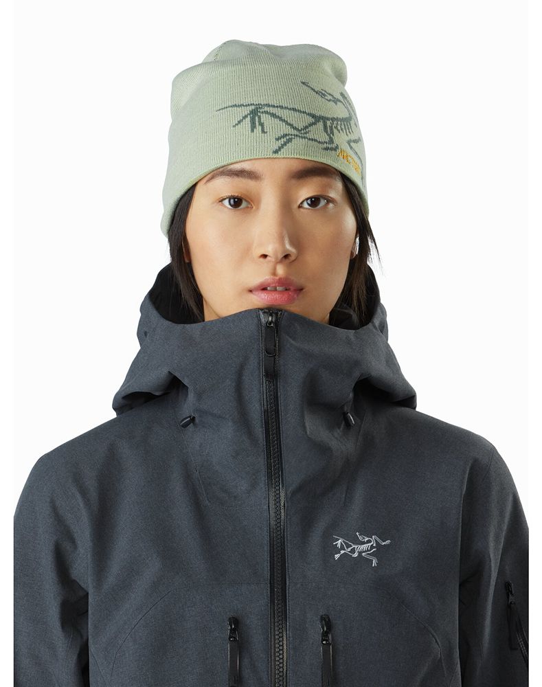 Arc'teryx Bird Head Toque Womens - Green