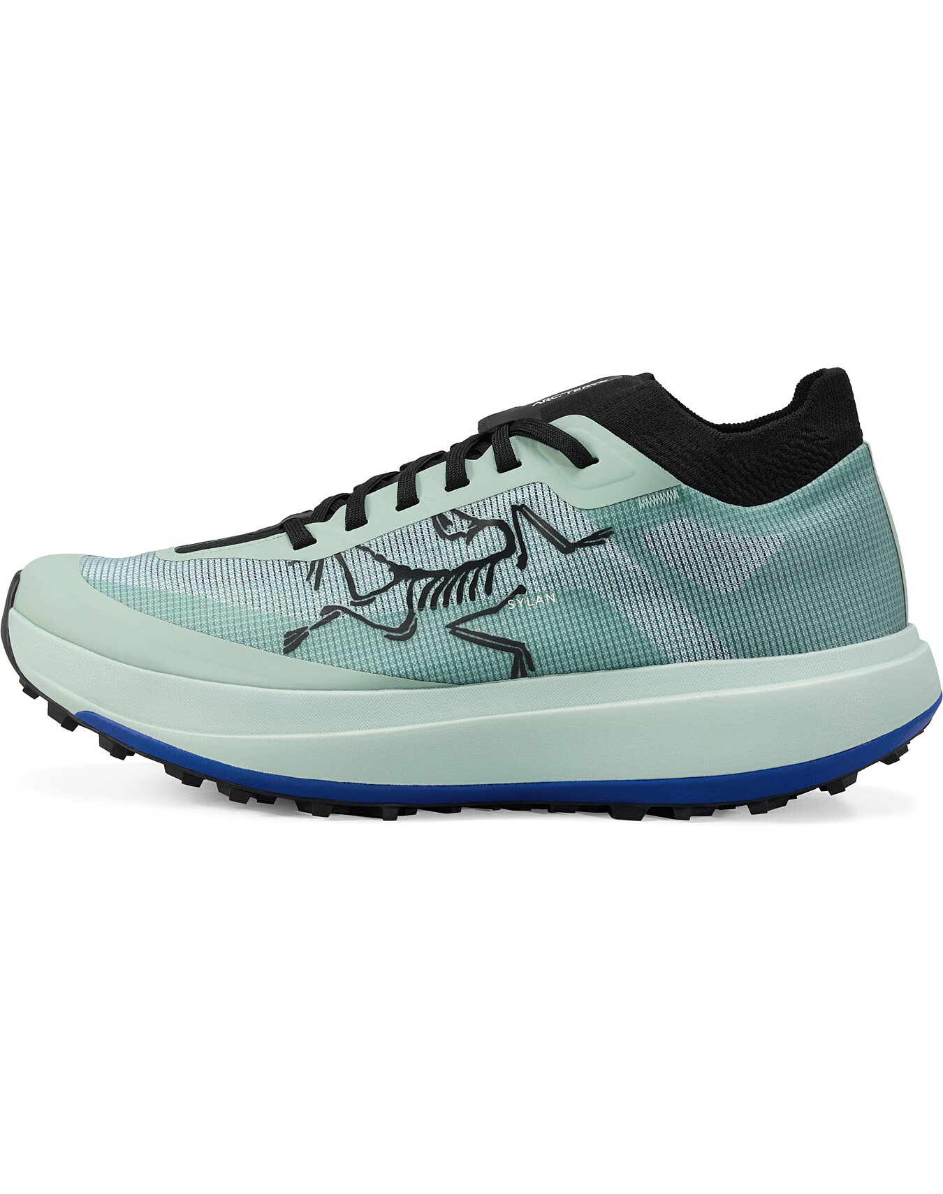 Sylan Pro Shoe Men's