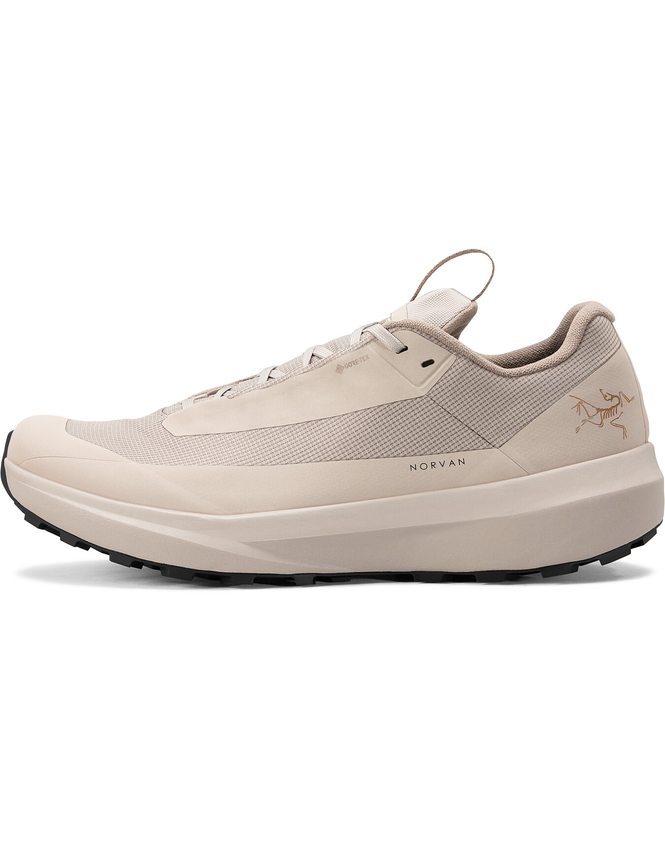 Norvan LD 4 GTX Shoe Men's