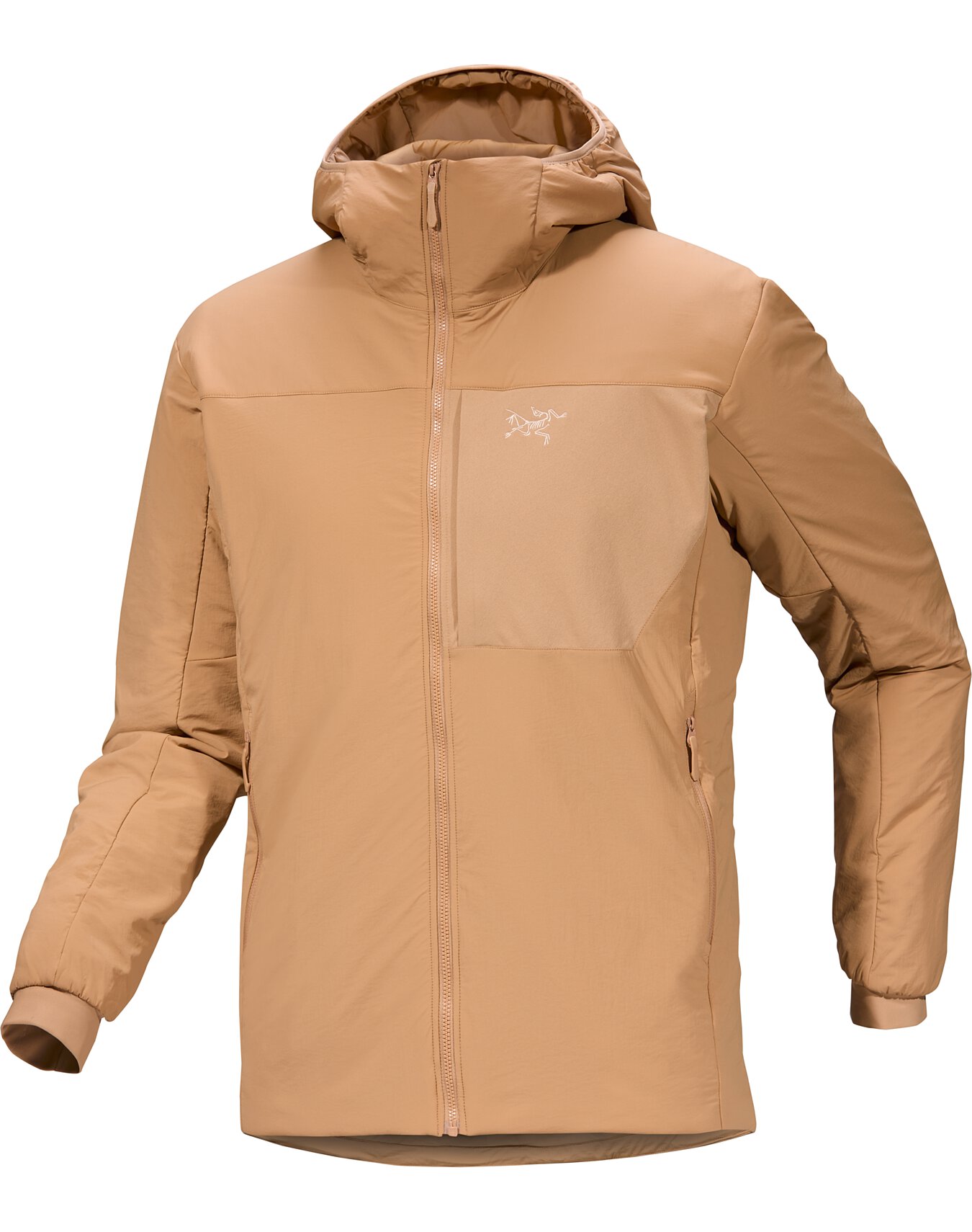 Proton Hoody Men's