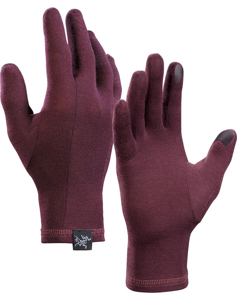Arc'teryx Gothic Gloves Mens - Purple
