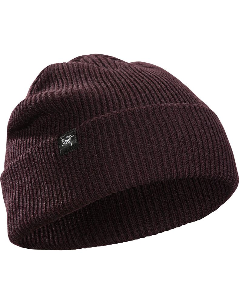 Arc'teryx Fisherman Beanie Womens - Purple