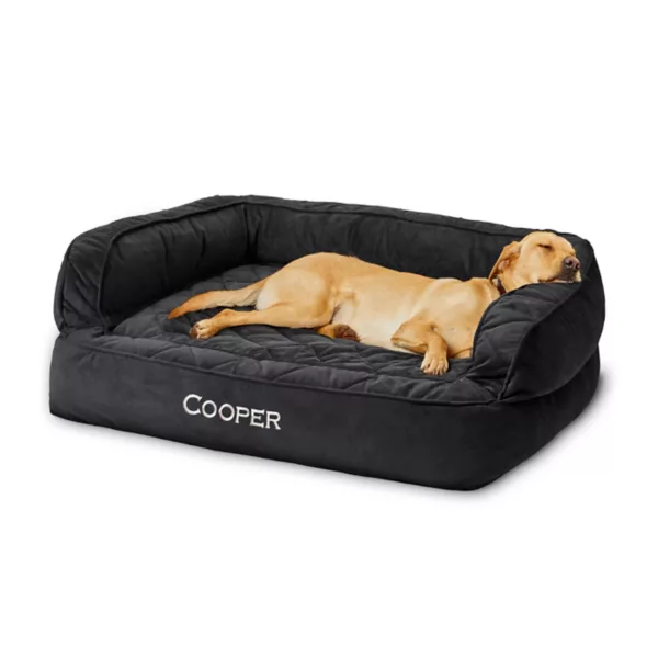 Orvis Memory Foam Couch Dog Bed