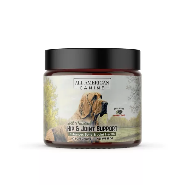 Hip and Joint Support