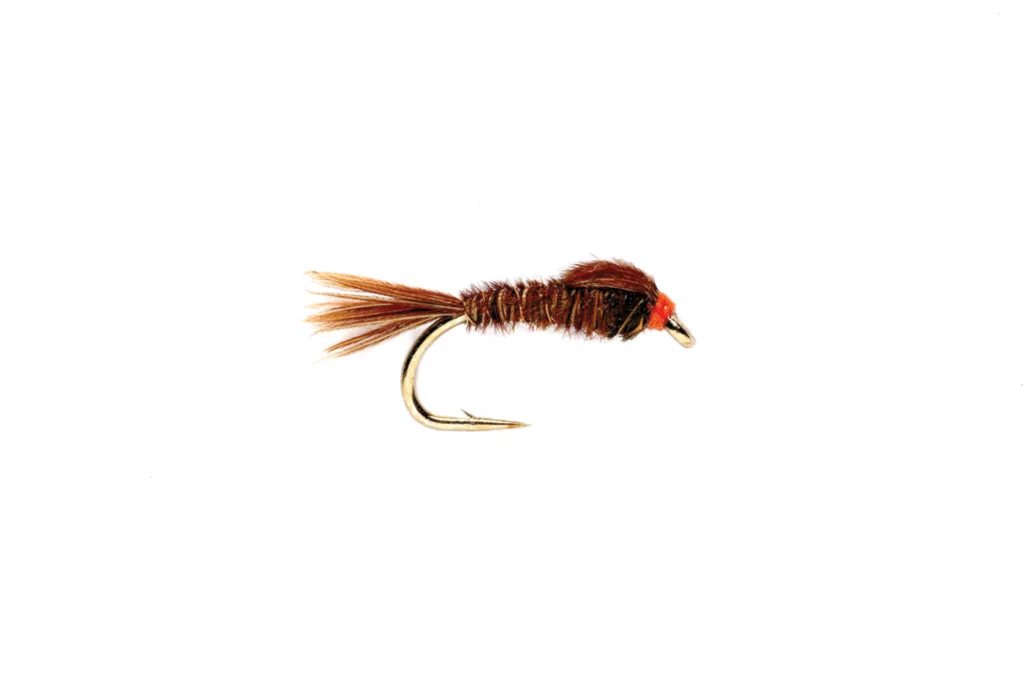English Pheasant Tail