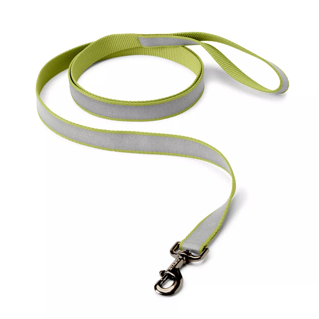 Reflective 6' Leash