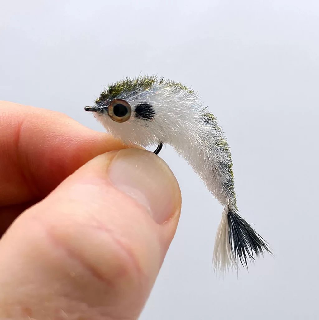 Micro Changer - Two Pack