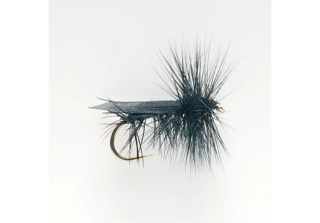 Tent Wing Black Caddis
