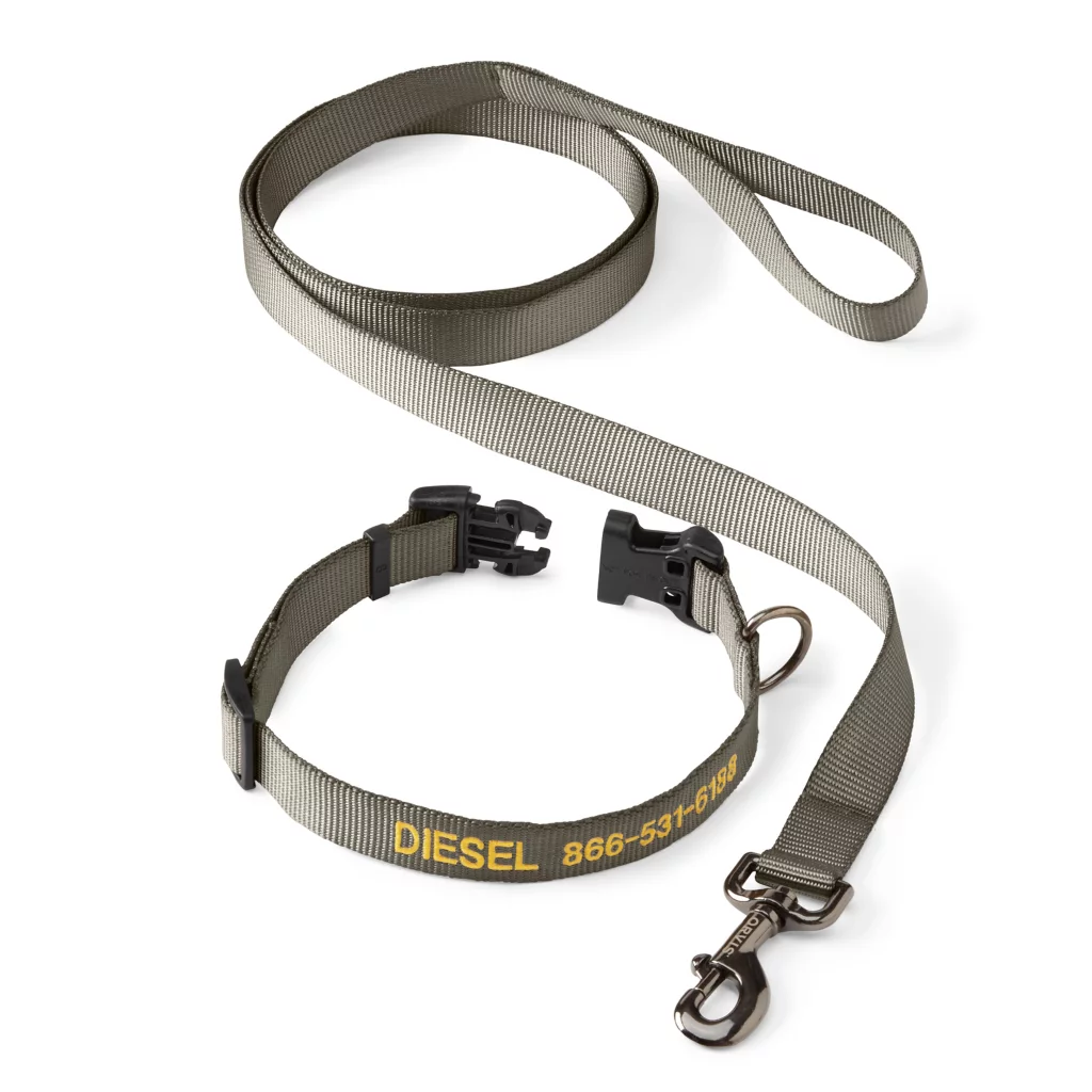 Personalized Adjustable Dog Collar with Leash