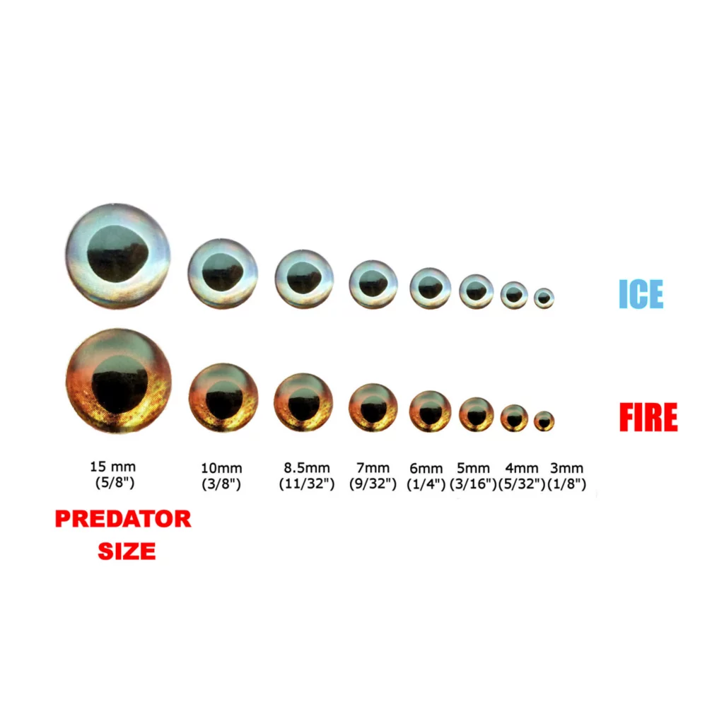 Fish Skull Living Eyes