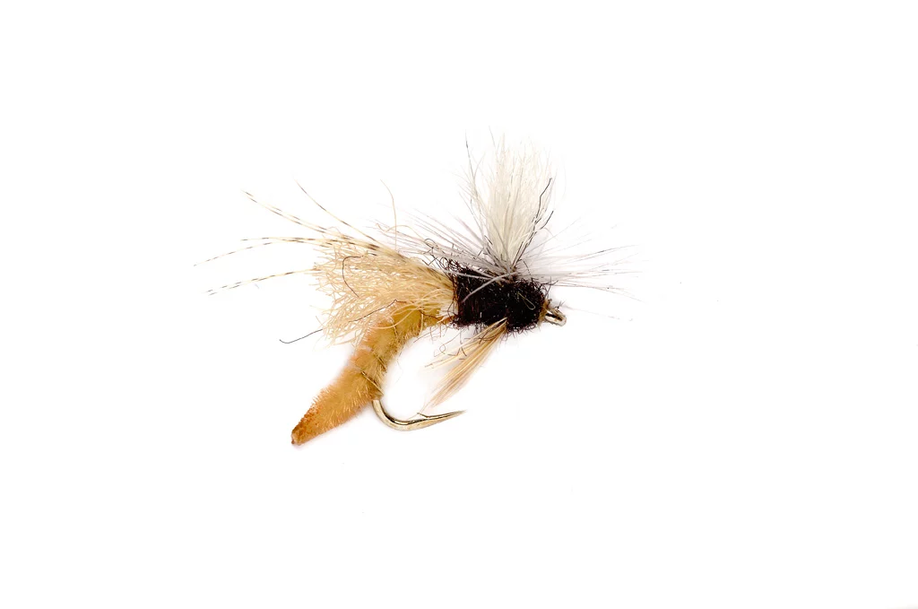 Spotlight Caddis Emerger