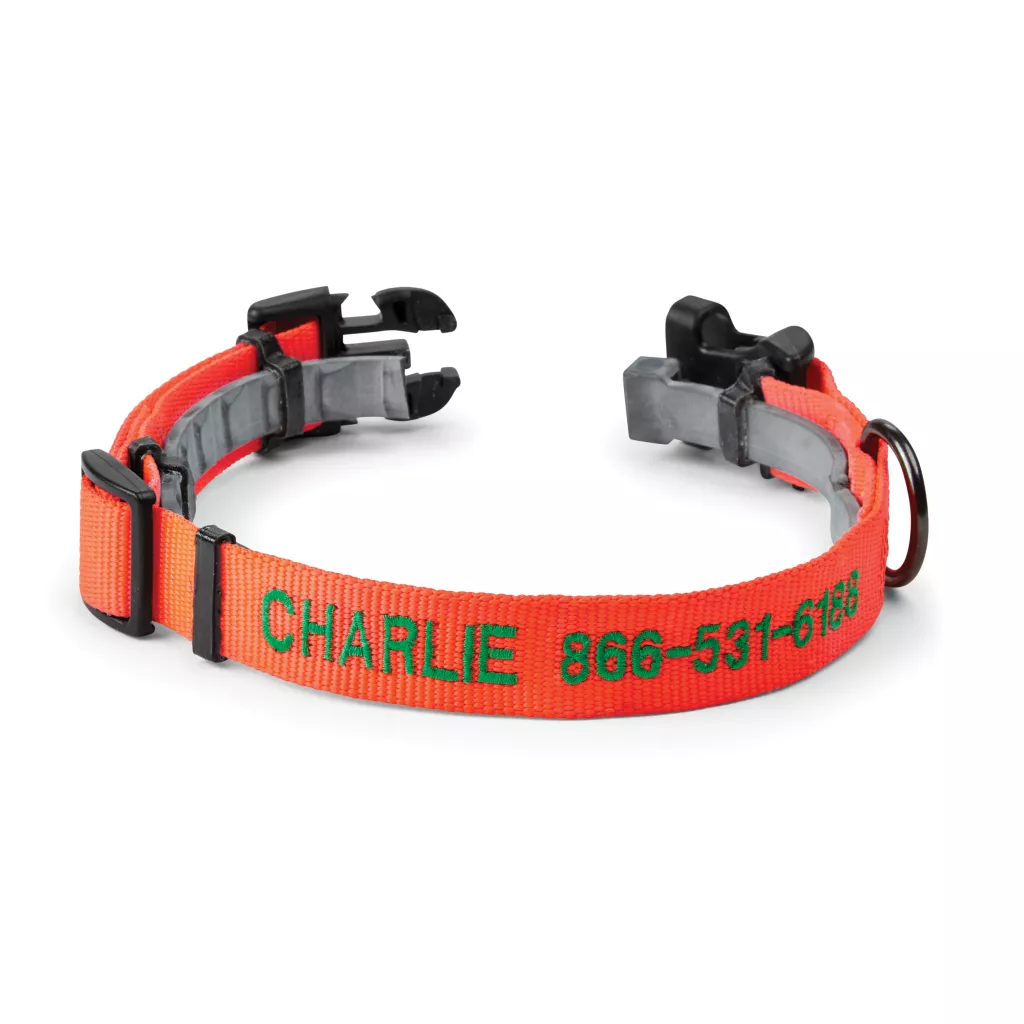 Conceal-a-Collar® Personalized Flea and Tick Collar