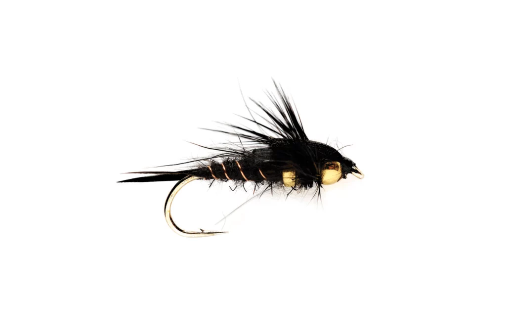 Tunghead Stonefly