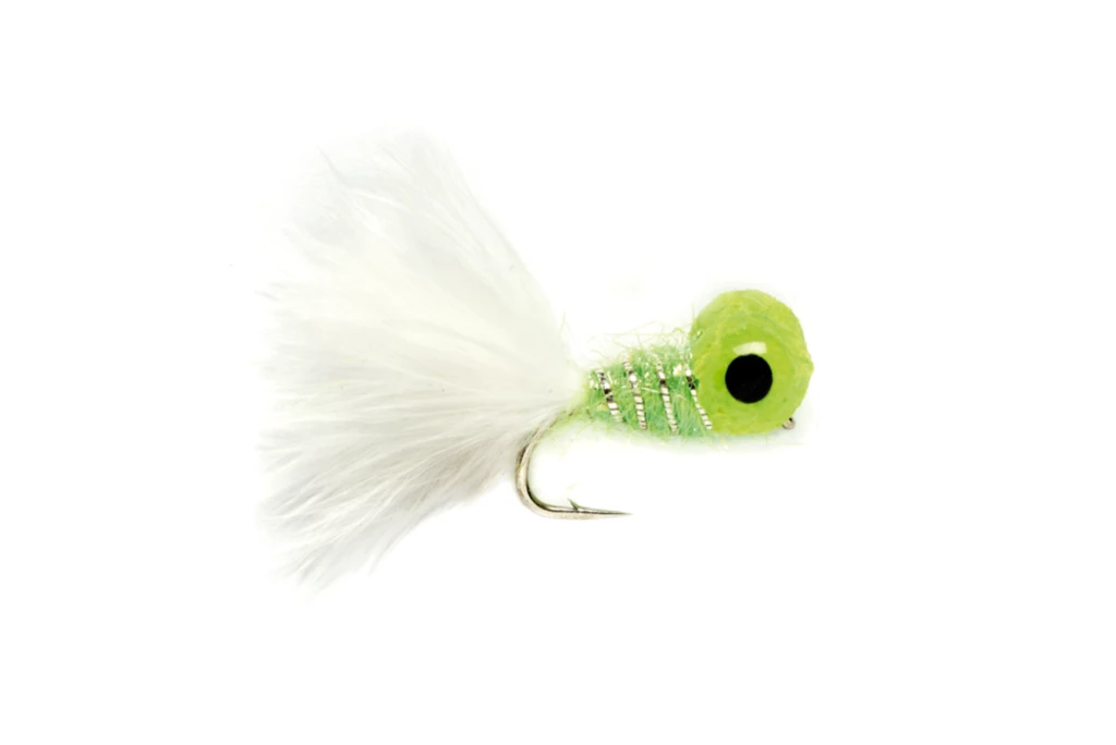 Big-Eyed Panfish Bug