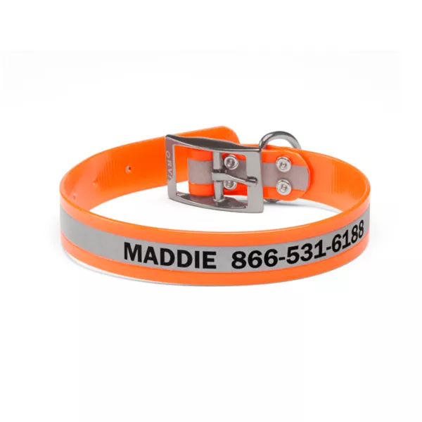 No-Stink Reflective Collar