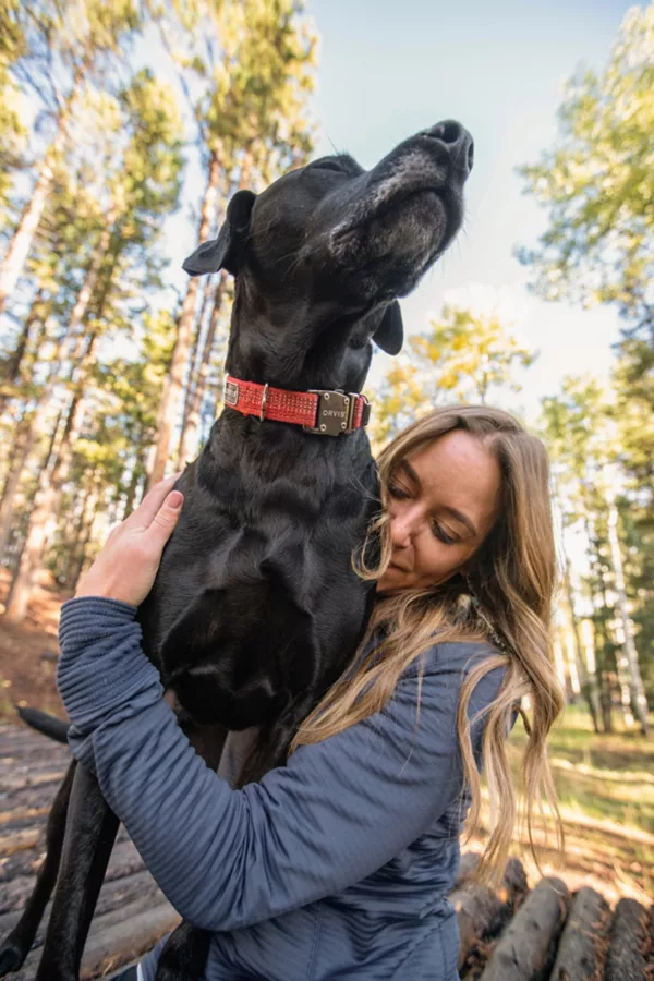 Tough Trail® Dog Collar