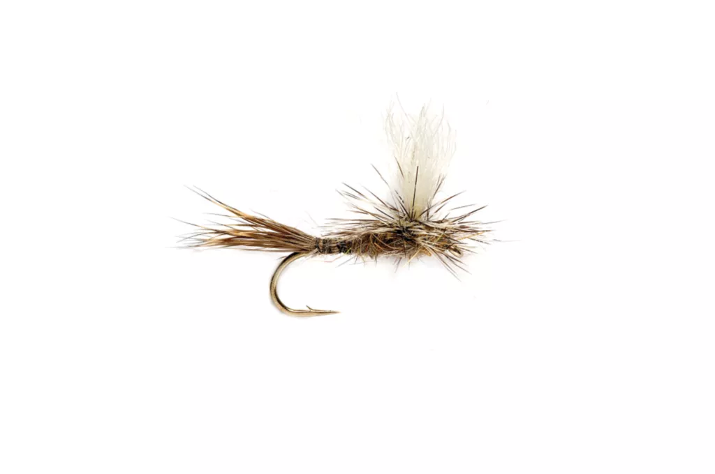 Parachute Hare's Ear (Schroeder's)