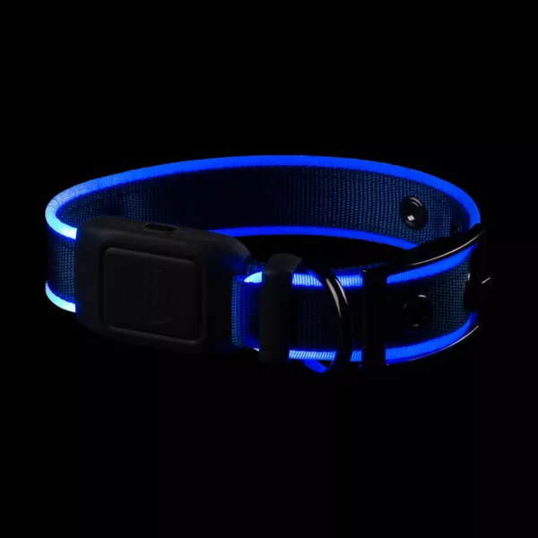 NiteDog® Rechargeable LED Dog Collar
