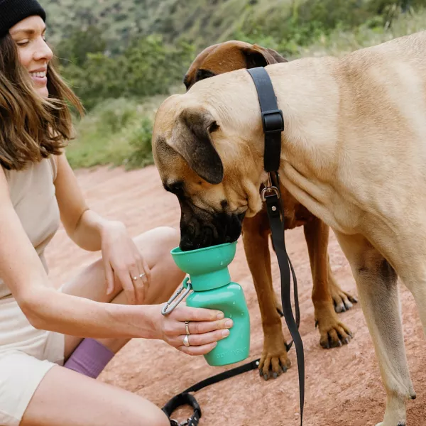 Flip Dog Travel Bottle