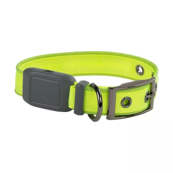 NiteDog® Rechargeable LED Dog Collar