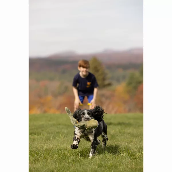 Twitchy Tail Fish Toy