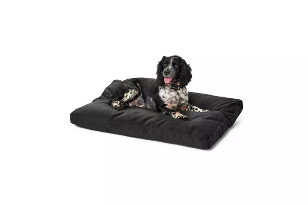 Orvis ToughChew® ComfortFill-Eco™ Platform Dog Bed