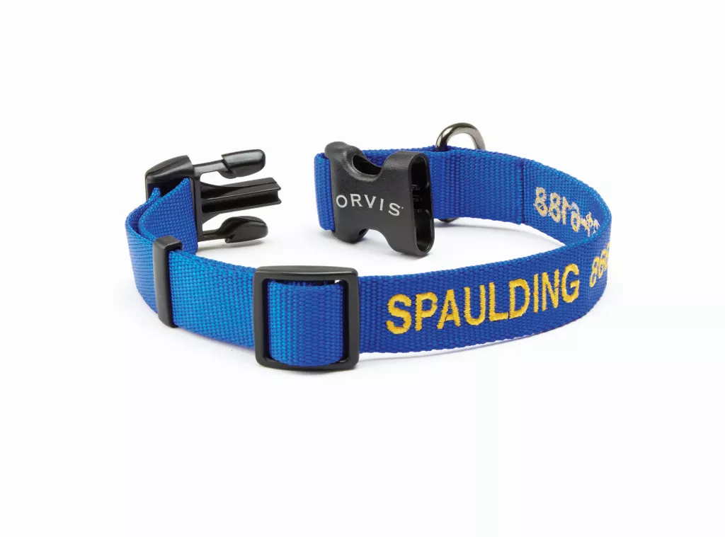 Personalized Side-Release Buckle Collar