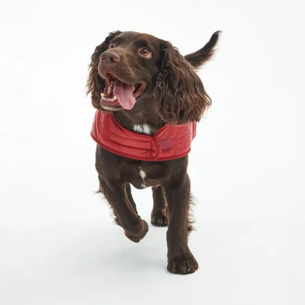Barbour® Baffle Dog Jacket
