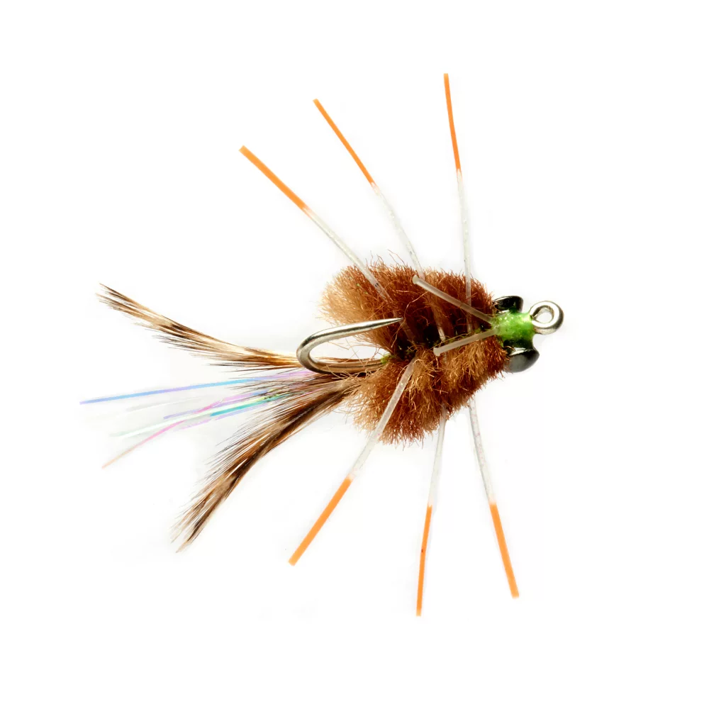 Merkin Crab - Merkin Crab - Shallow