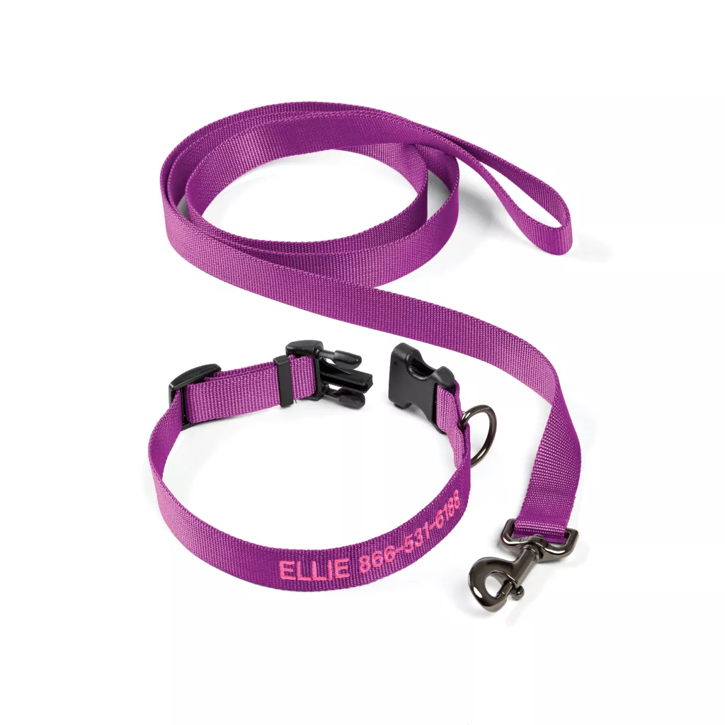 Personalized Adjustable Dog Collar with Leash