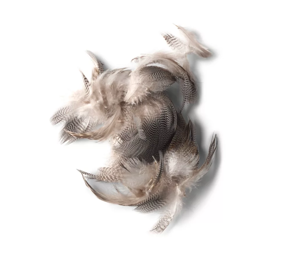 Prime Mixed Waterfowl Flank