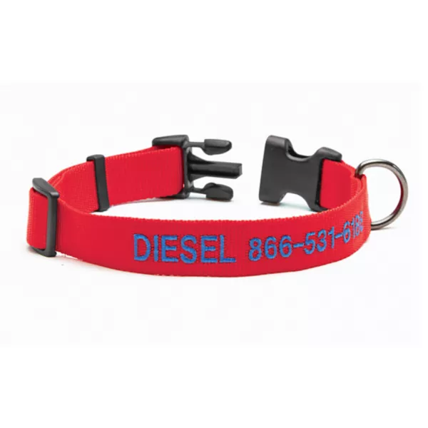 Personalized Side-Release Buckle Collar