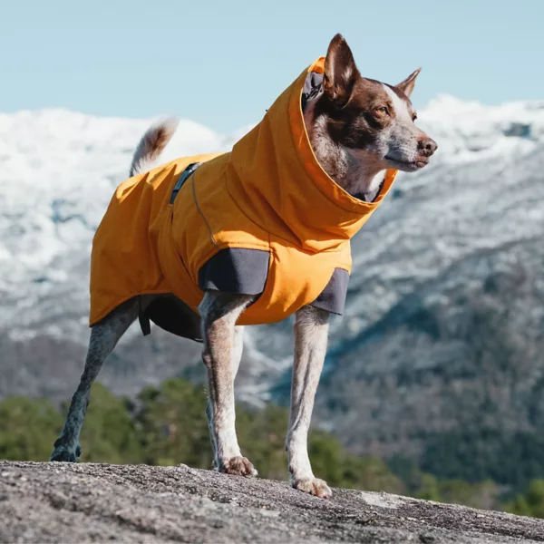 Hurtta® Expedition Dog Parka