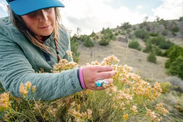 Women's Outdoor Quilted Snap Sweatshirt