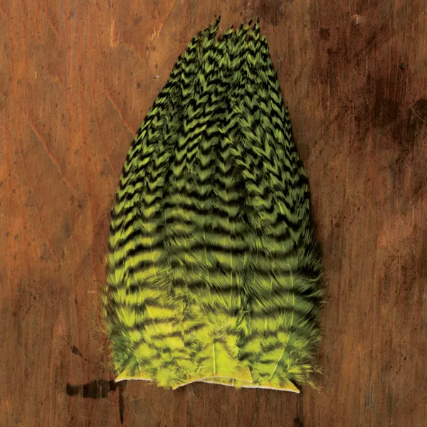 Whiting Woolly Bugger Pack