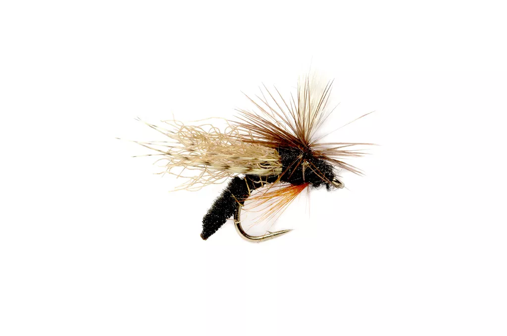 Spotlight Caddis Emerger