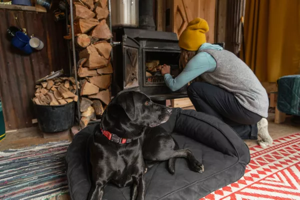 Tough Trail® Dog Collar