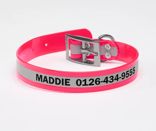 No-Stink Reflective Collar