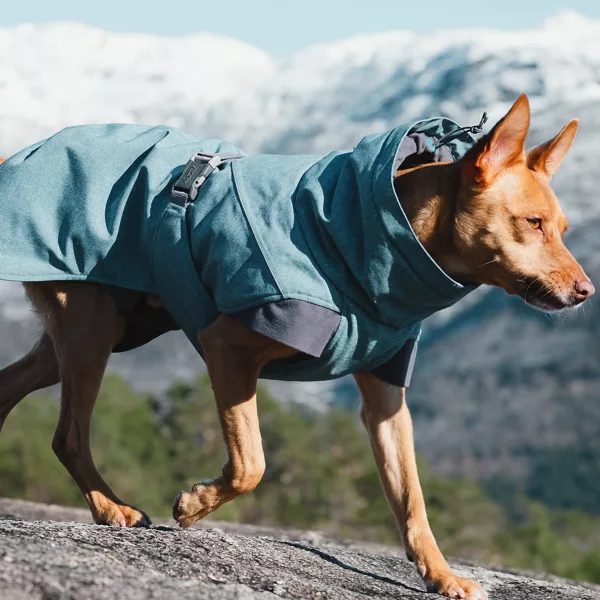 Hurtta® Expedition Dog Parka