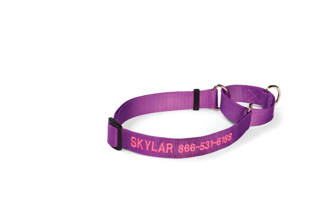 Personalized Martingale No-Pull Collar