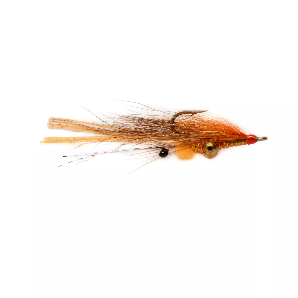 Koga's Bonefish Shrimp