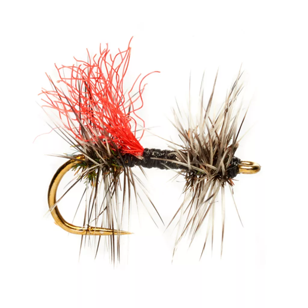 Rosenbauer's Double Griffith's Gnat