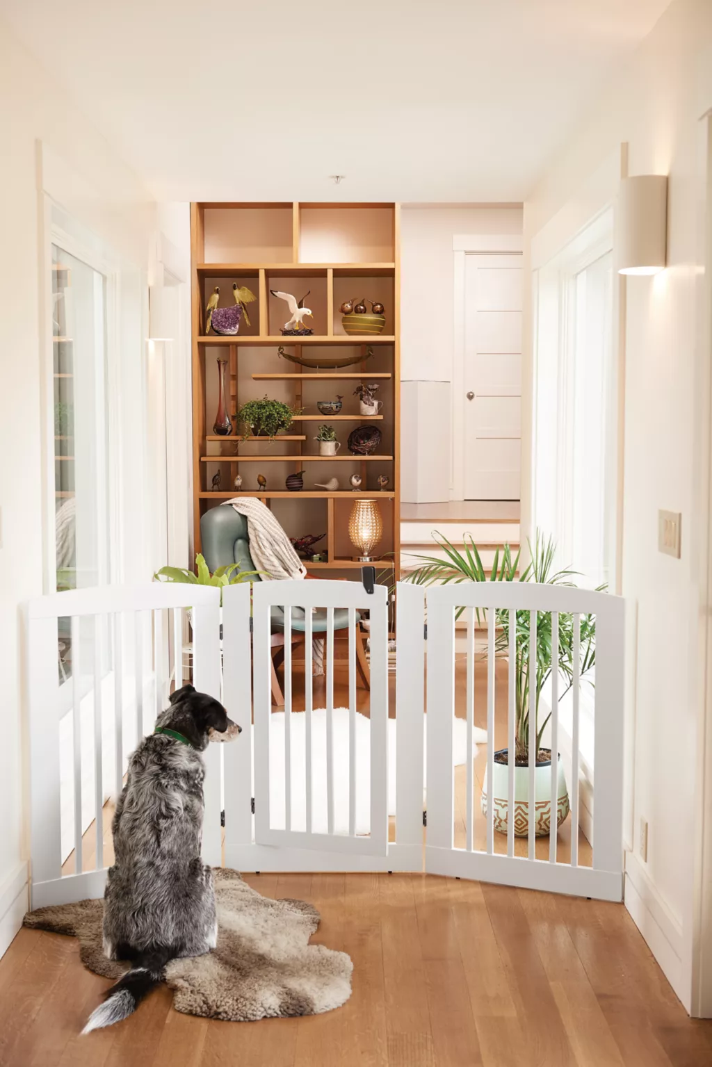 Freestanding Three-Panel Gate with Door