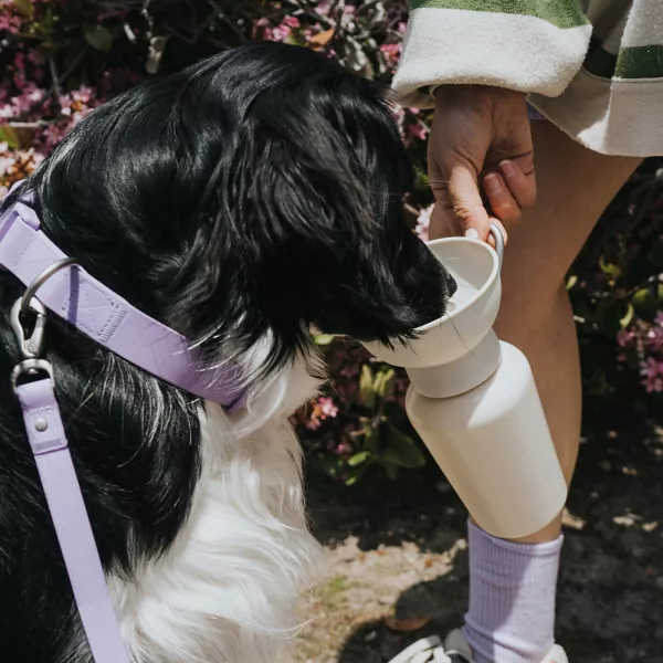 Flip Dog Travel Bottle