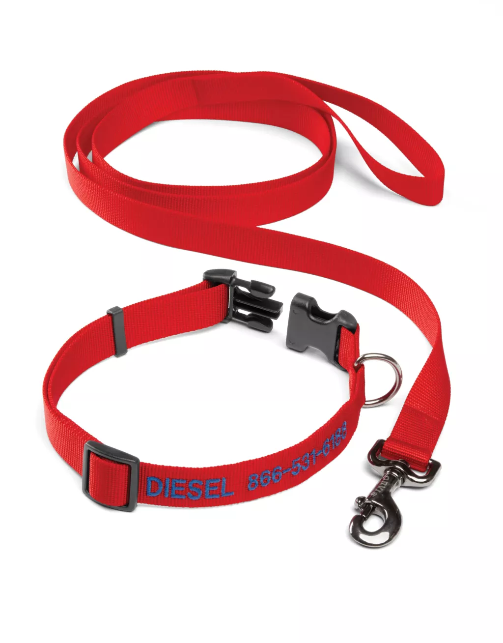 Personalized Adjustable Dog Collar with Leash