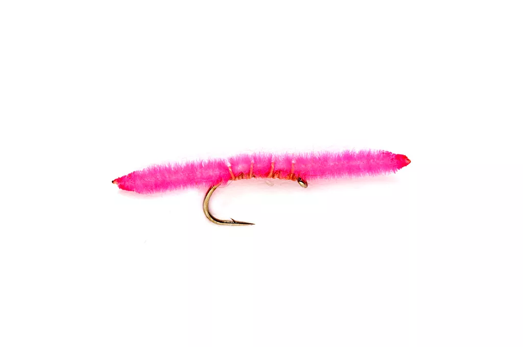 Vernille San Juan Worm