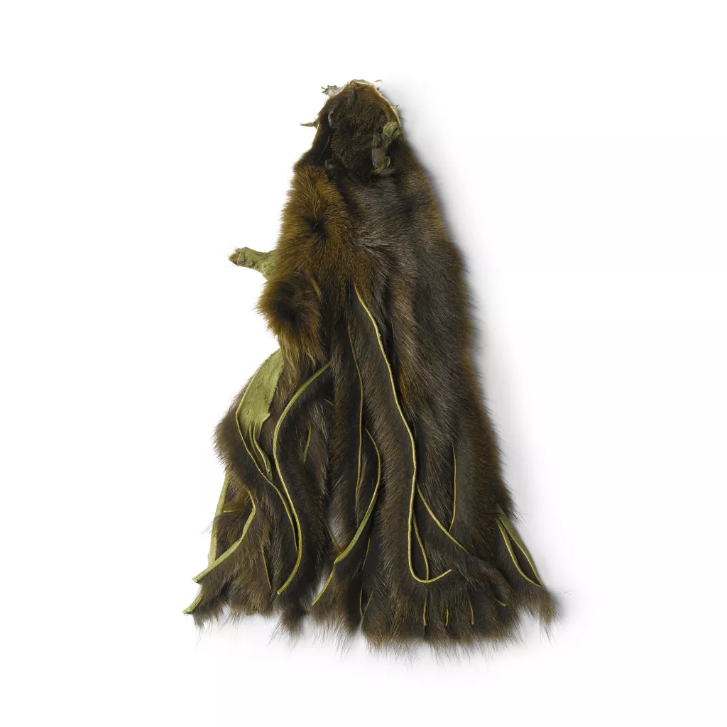 Pine Squirrel Skin Zonkered