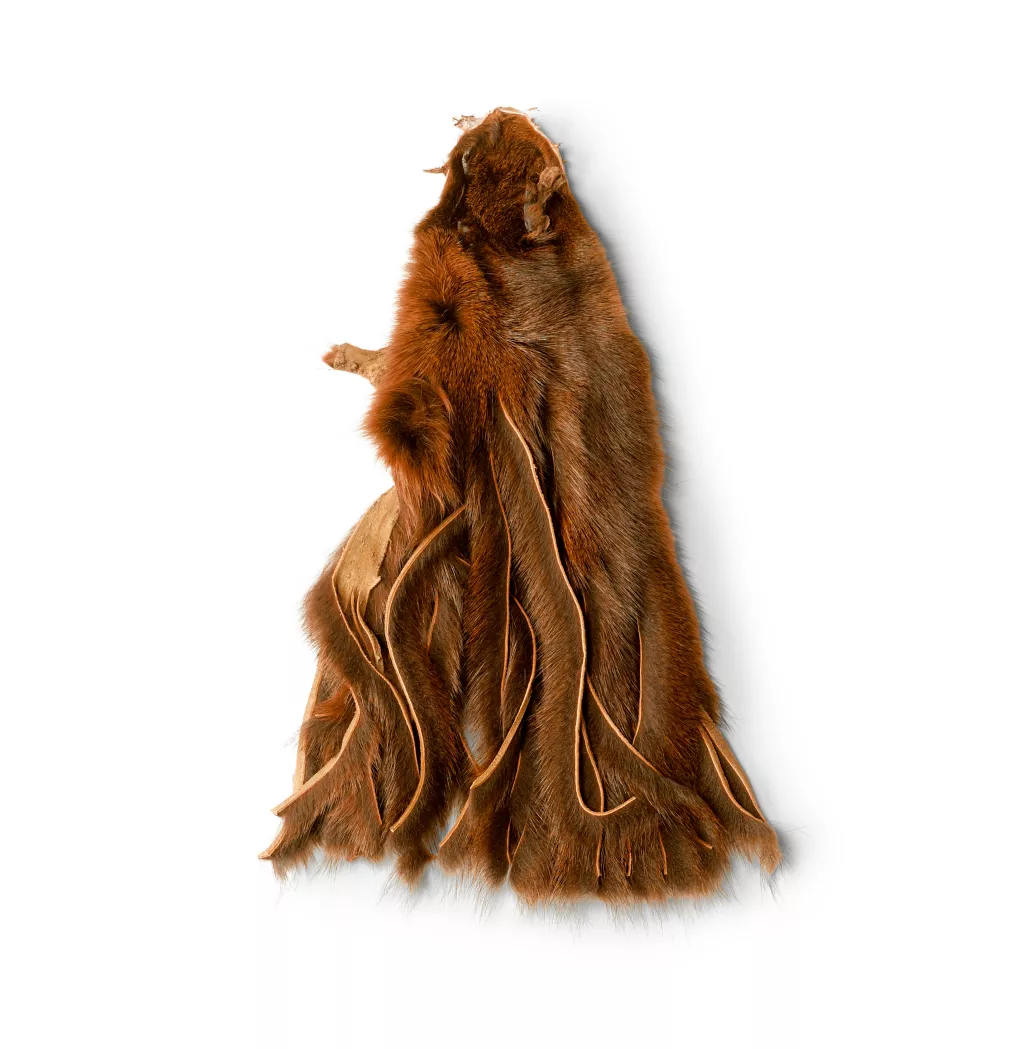 Pine Squirrel Skin Zonkered