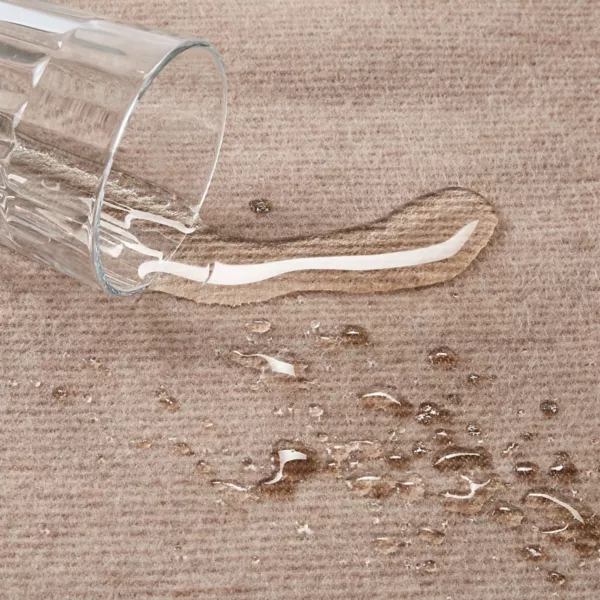 Reversible Water-Resistant Throw